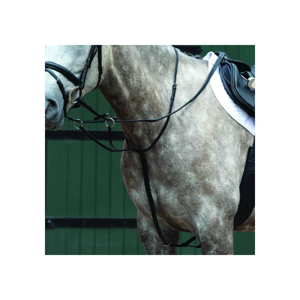 Details about / Collegiate Essential Plain Flat Running Martingale